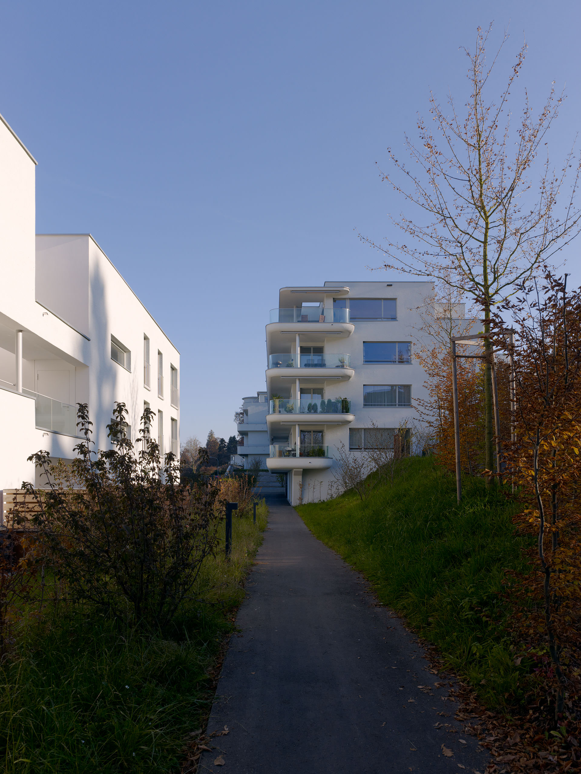 E11352 Alpa 030422 j2560